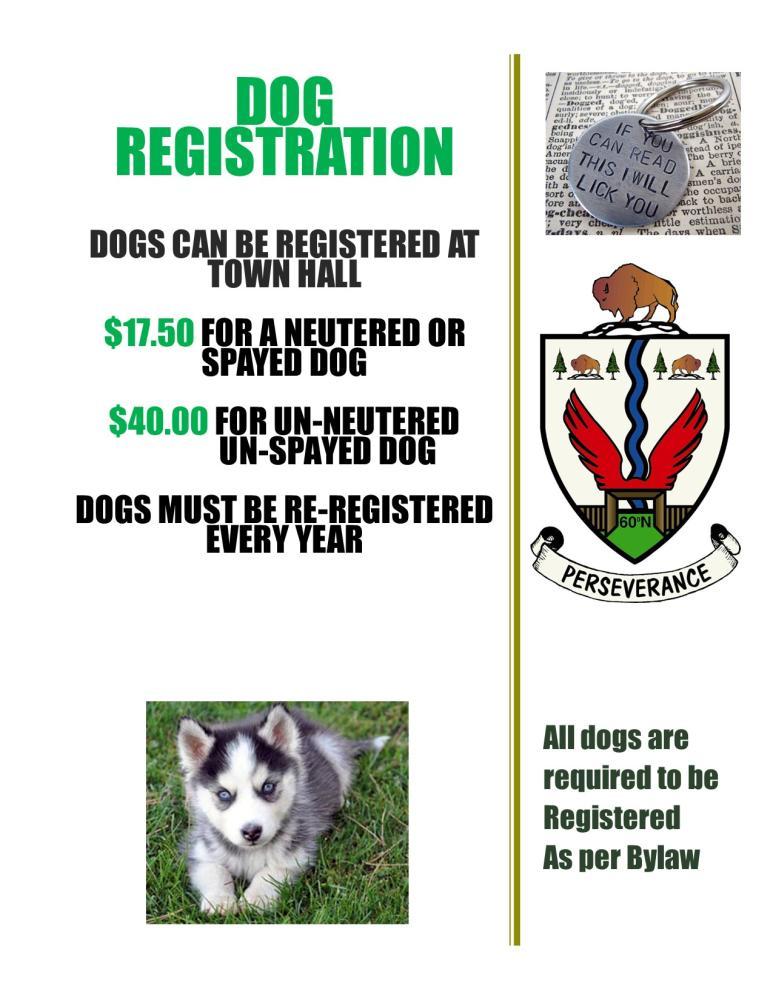 Dogs an be registered at town hall