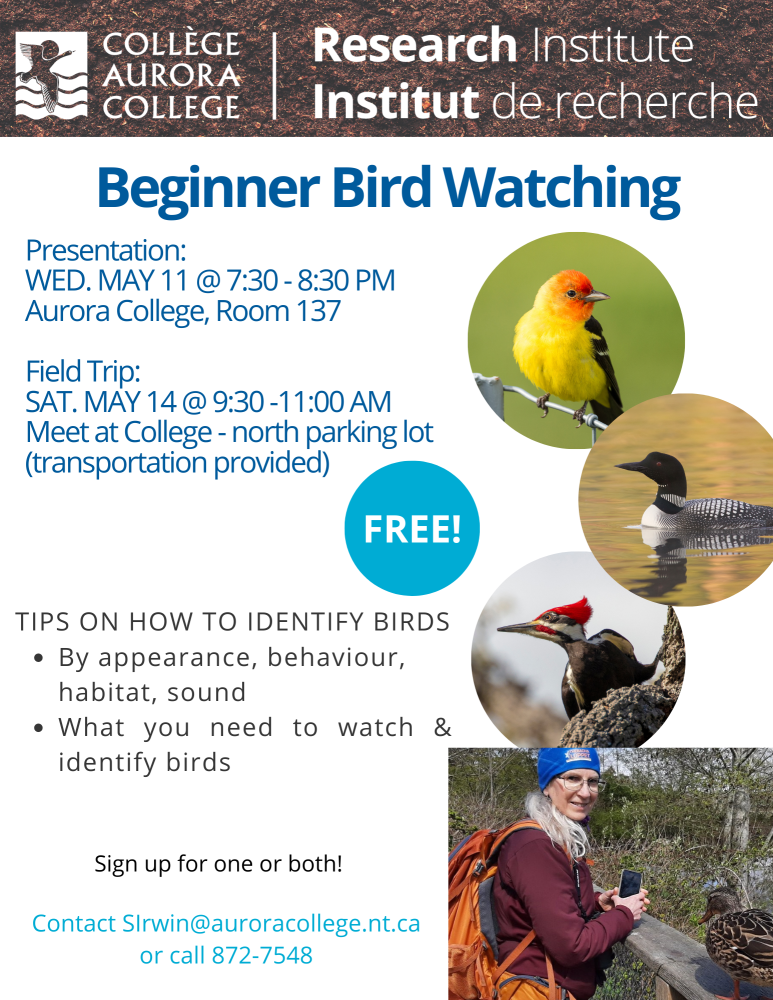beginner bird watching. free event
