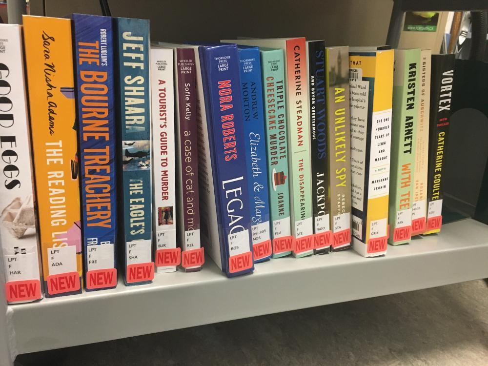 library book shelf all labeled new 